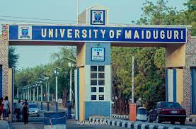 UNIMAID Admission List 2024/2025 Is Out [How To Check]